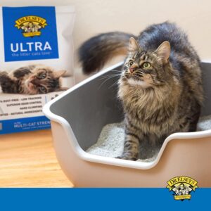 Long-haired tabby cat standing in a litter box filled with Dr. Elsey's Ultra Unscented Clumping Clay Cat Litter, with a 40 lb bag displayed in the background.