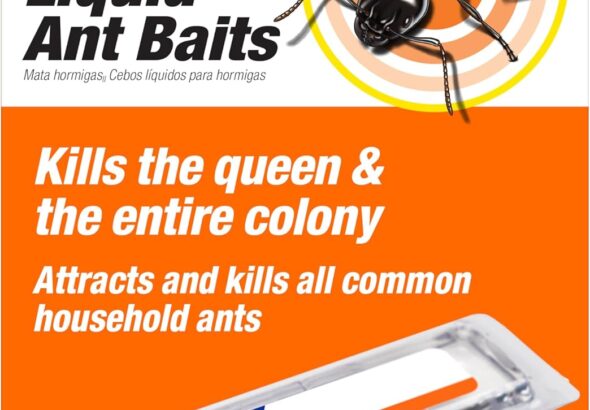 Packaging for TERRO liquid ant baits showing a large black ant illustration and a clear bait station; text highlights killing the queen and entire colony.