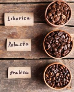 Best coffee beans comparison - Arabica, single-origin, and dark roast whole beans from Starbucks, Death Wish, and Lavazza