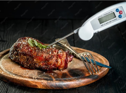 Best meat thermometers comparison showing ThermoPro, Lavatools, MEATER Plus, and Thermapen ONE instant read and digital meat thermometers